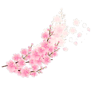 桜のイメージ