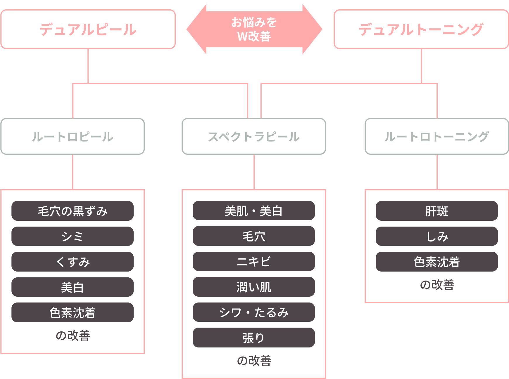 スペクトラの治療メニューの詳細